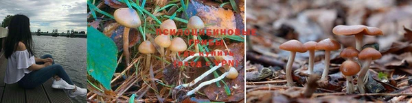 mdma Михайловск