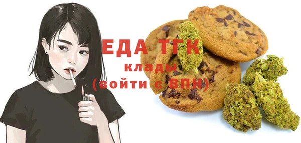 индика Иннополис